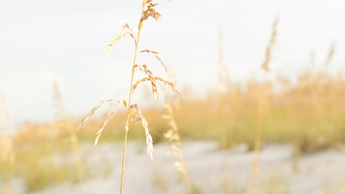 Våga vila - Inre och yttre detox