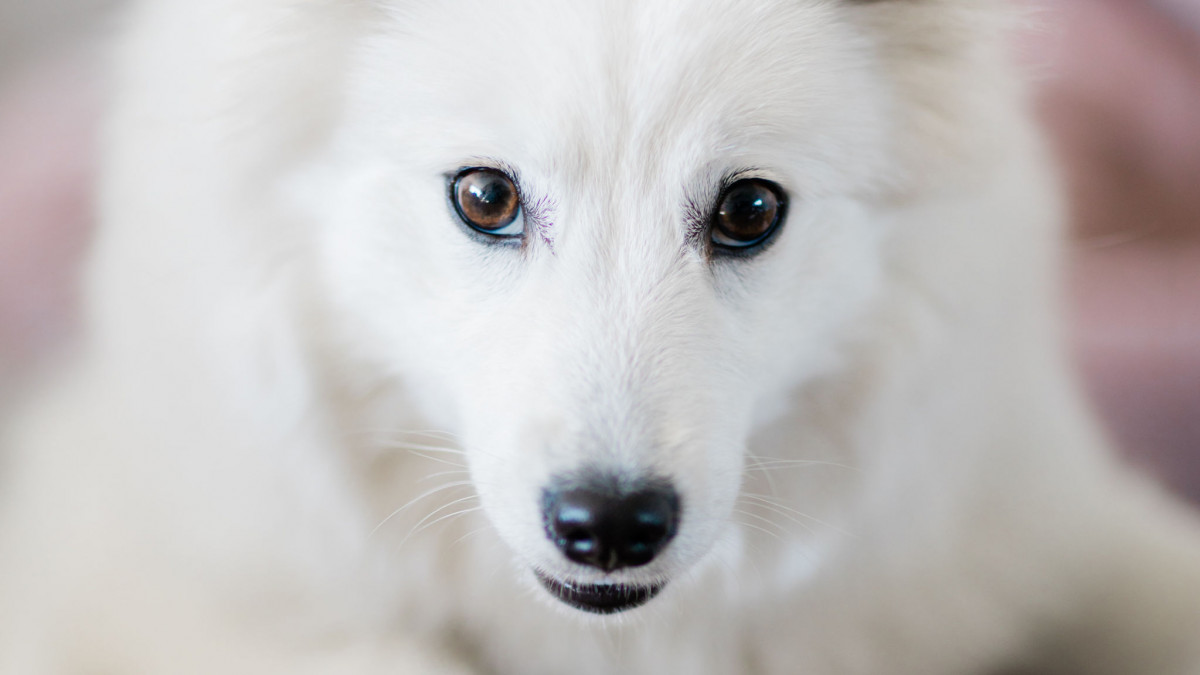 Veckans vana - Pengar in och pengar ut