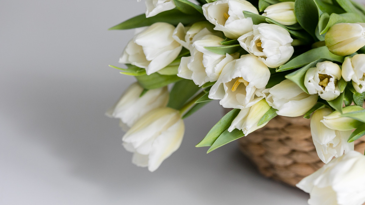 Veckans vana - Göra en budget