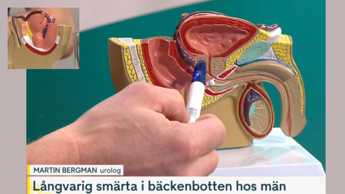 När män får ont i bäckenbotten – och tystnaden börjar brytas