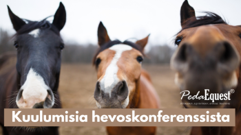 webinar image