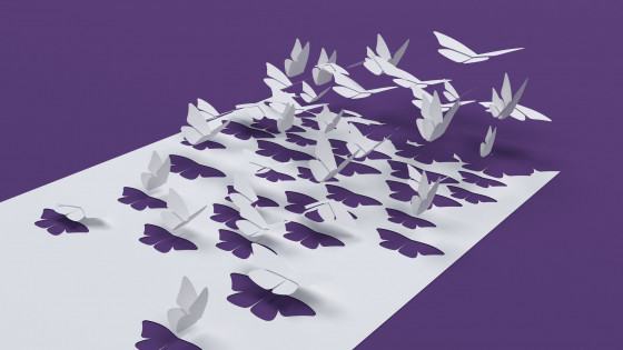 SONGERIE DE MICHAEL du 12 juin 2022