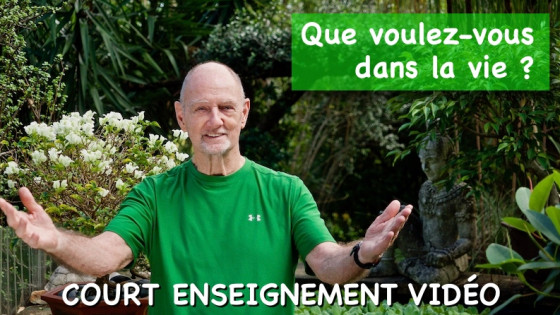 QUE VOULEZ-VOUS DANS LA VIE ?