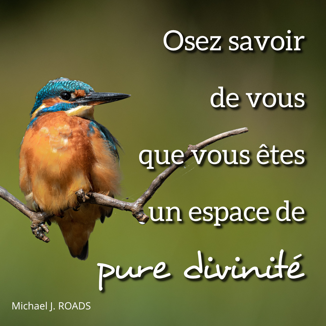 CITATION
