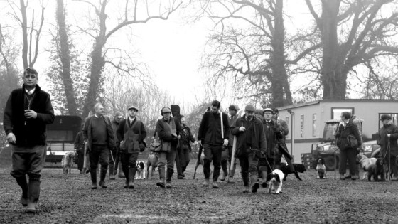 Roles on the Driven Syndicate Shoot: The Essential Jobs of Guns, Peg Dogs, Beaters, and Pickers Up