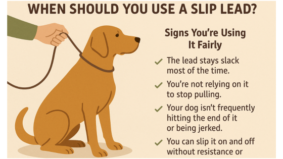 When Should You Use a Slip Lead?