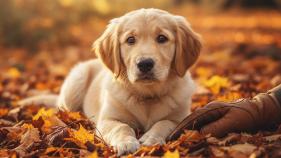 Week 3 :The Power of Calm – Why Rest Matters as Much as Training