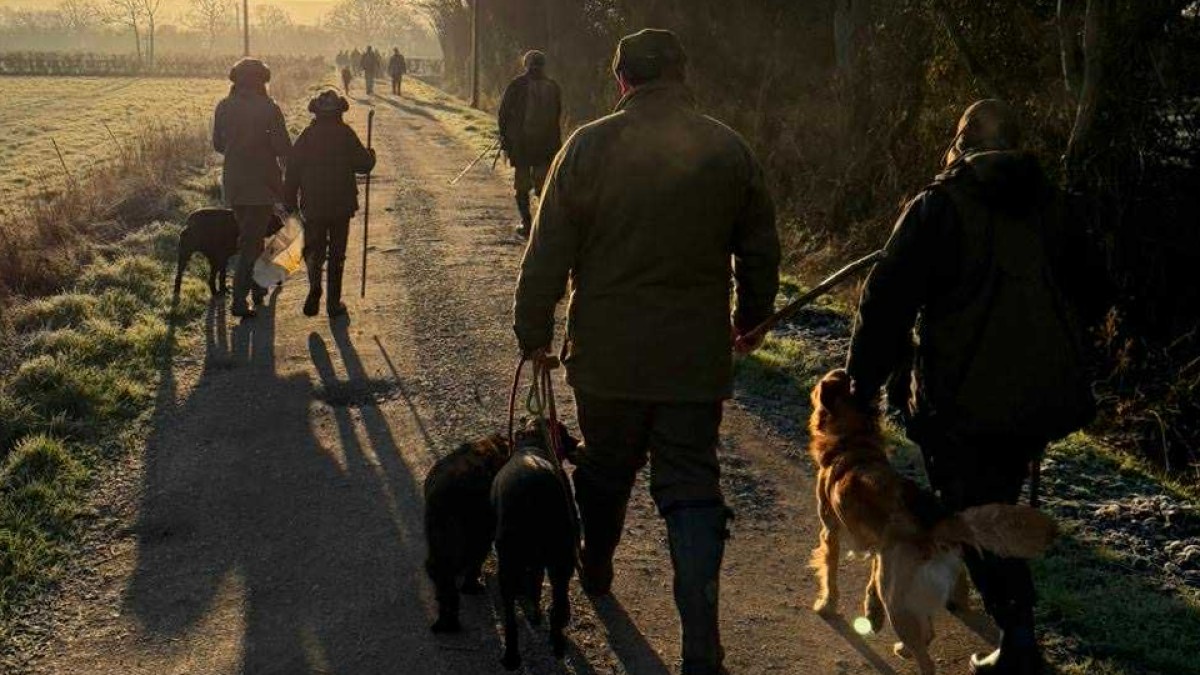 A Season in Reflection: Shooting with Adge, Griff, Flora and Seth