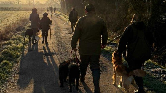 A Season in Reflection: Shooting with Adge, Griff, Flora and Seth