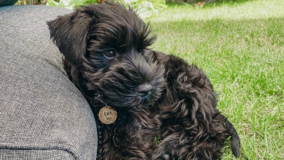 Prevention IS better than cure......