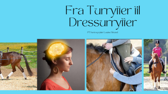 Hvordan overvinne selvsabotering og bli en bedre dressurrytter