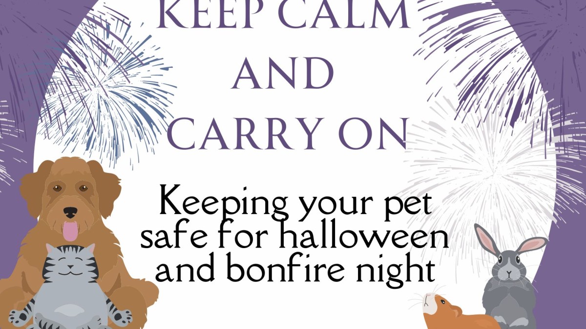 Keep Calm and Carry on, halloween and bonfire night.