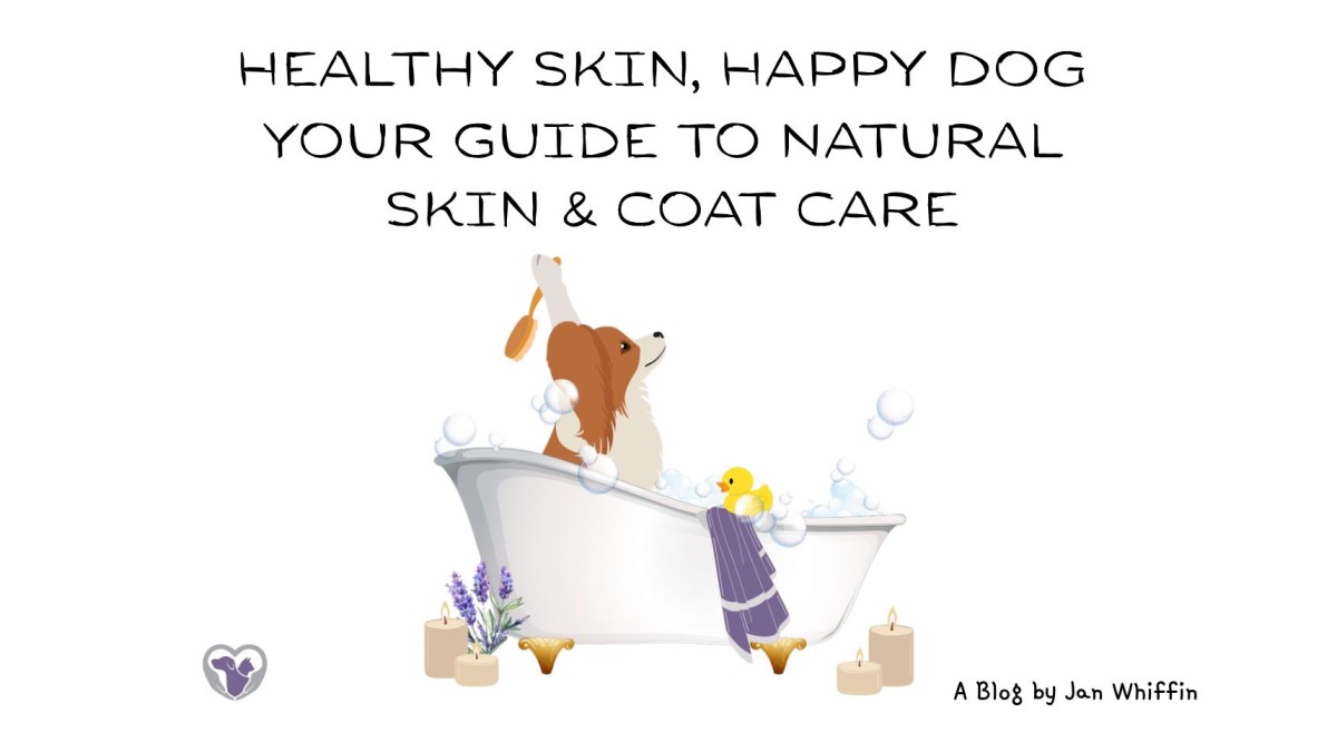 Healthy Skin, Happy Dog: Your Guide to Natural Skin & Coat Care