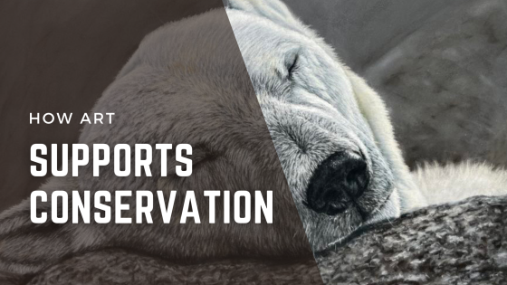How Art Supports Conservation