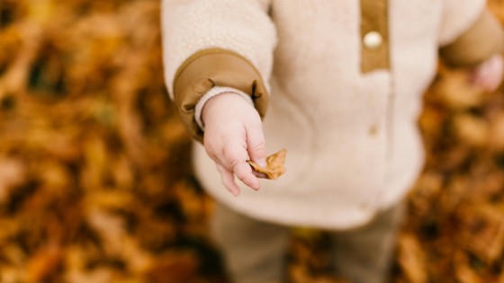 Welcome to Revabilities!