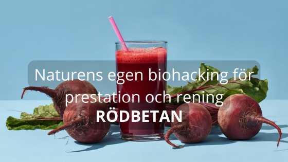Rödbetan - Naturens egen biohacking för prestation och rening