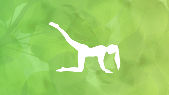 Barre & Pilates 2 - Ryhtilihakset kuntoon