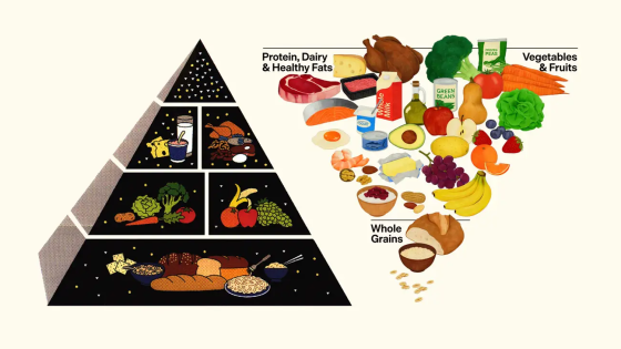 The Food Pyramid Was Upside Down: What the New Dietary Guidelines Finally Got Right