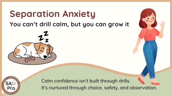 Separation Anxiety Part 3: You Can’t Drill Calm, But You Can Grow It
