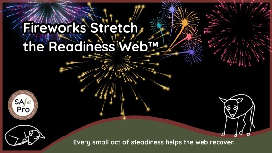 When Fireworks Stretch the Readiness Web™: How to Support Dogs Through Stress
