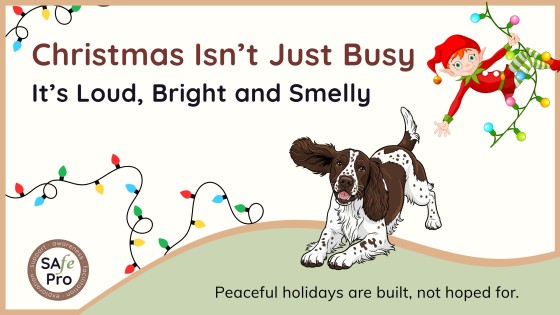 Christmas Isn’t Just Busy, It’s Loud, Bright and Smelly