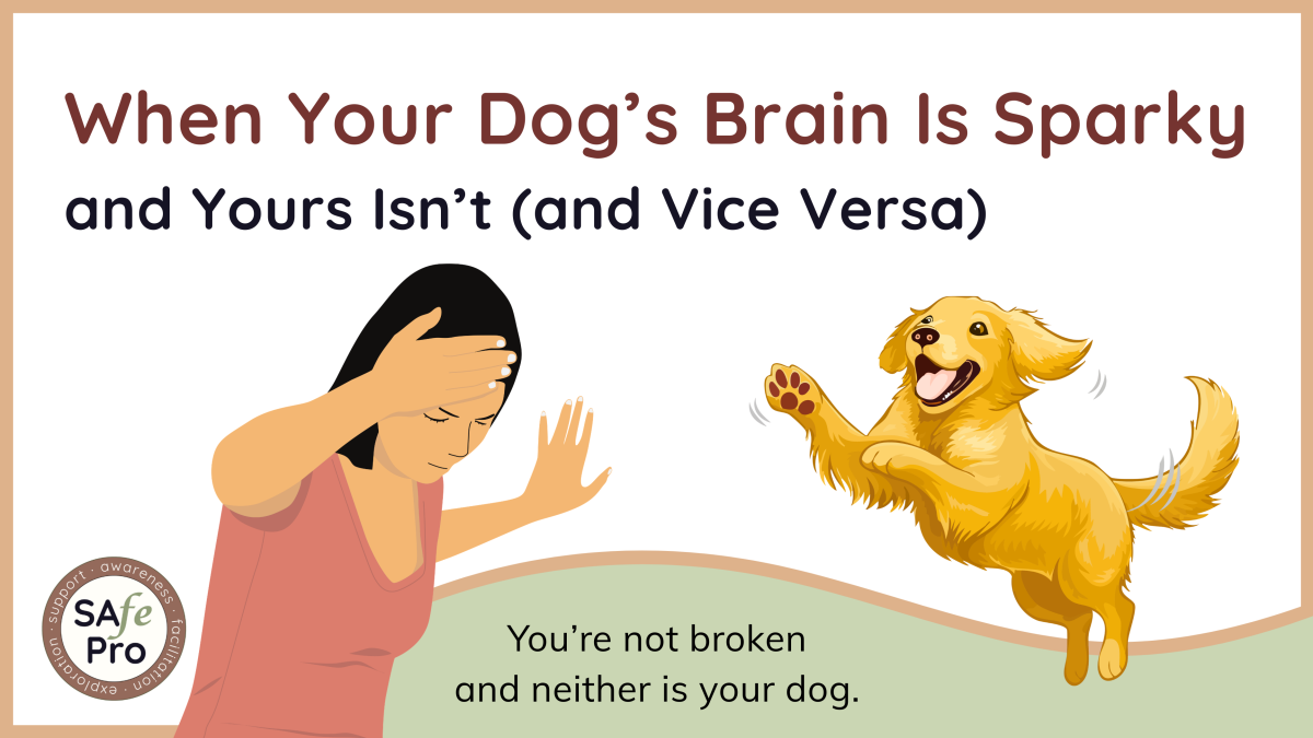 When Your Dog's Brain Is Sparky and Yours Isn’t (and Vice Versa)