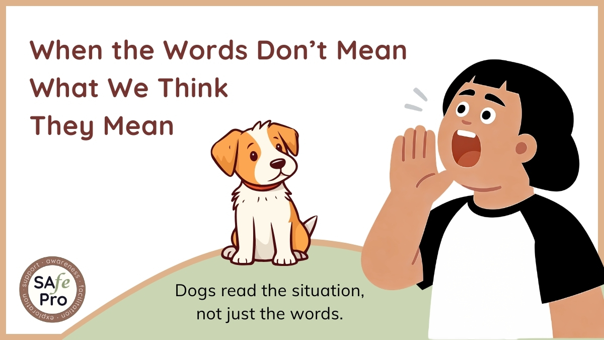 When the Words Don’t Mean What We Think They Mean