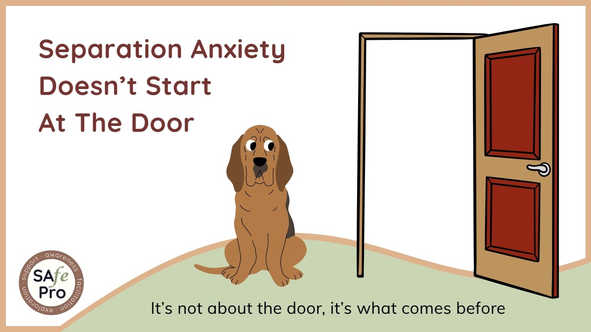 Separation Anxiety Doesn't Start At The Door