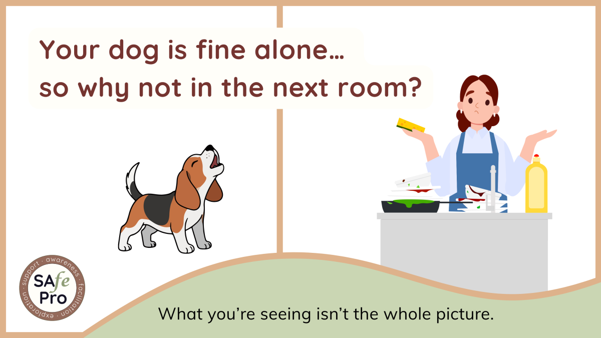 Your dog is fine alone…  so why not in the next room?