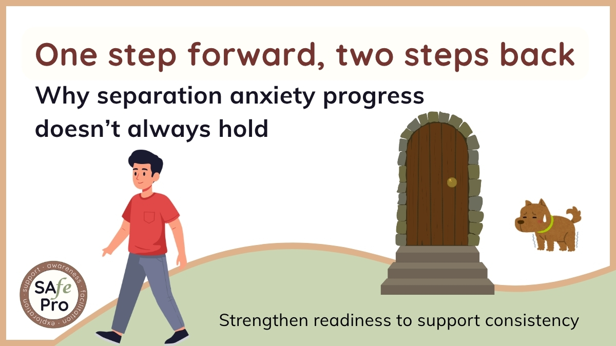 One step forward, two steps back: why separation anxiety progress doesn’t always hold