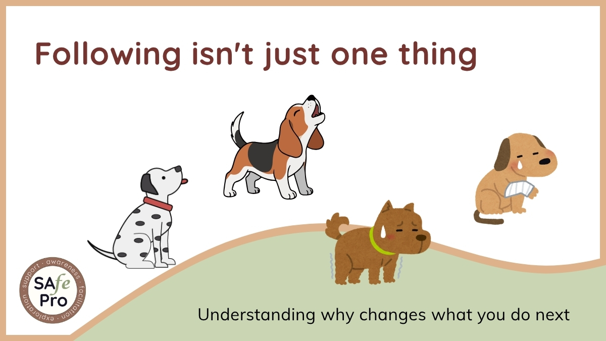 Following isn't just one thing