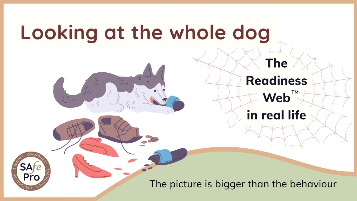 Looking at the whole dog: The Readiness Web™ in real life
