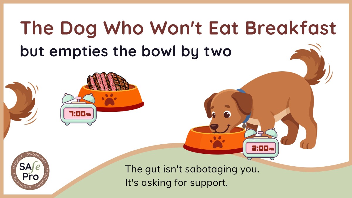 The Dog Who Won't Eat Breakfast But Empties The Bowl By Two