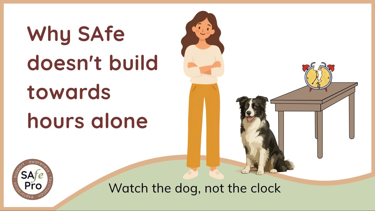 Why SAfe doesn't build towards hours alone