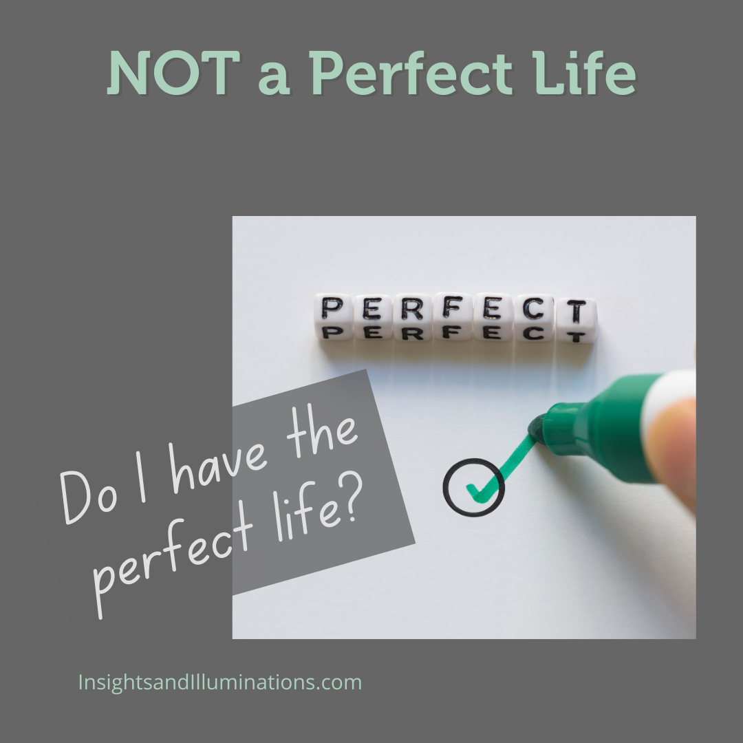 Not a Perfect LIfe