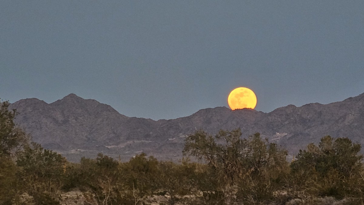 What went into the drawer
