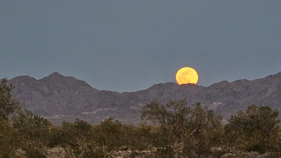 What went into the drawer
