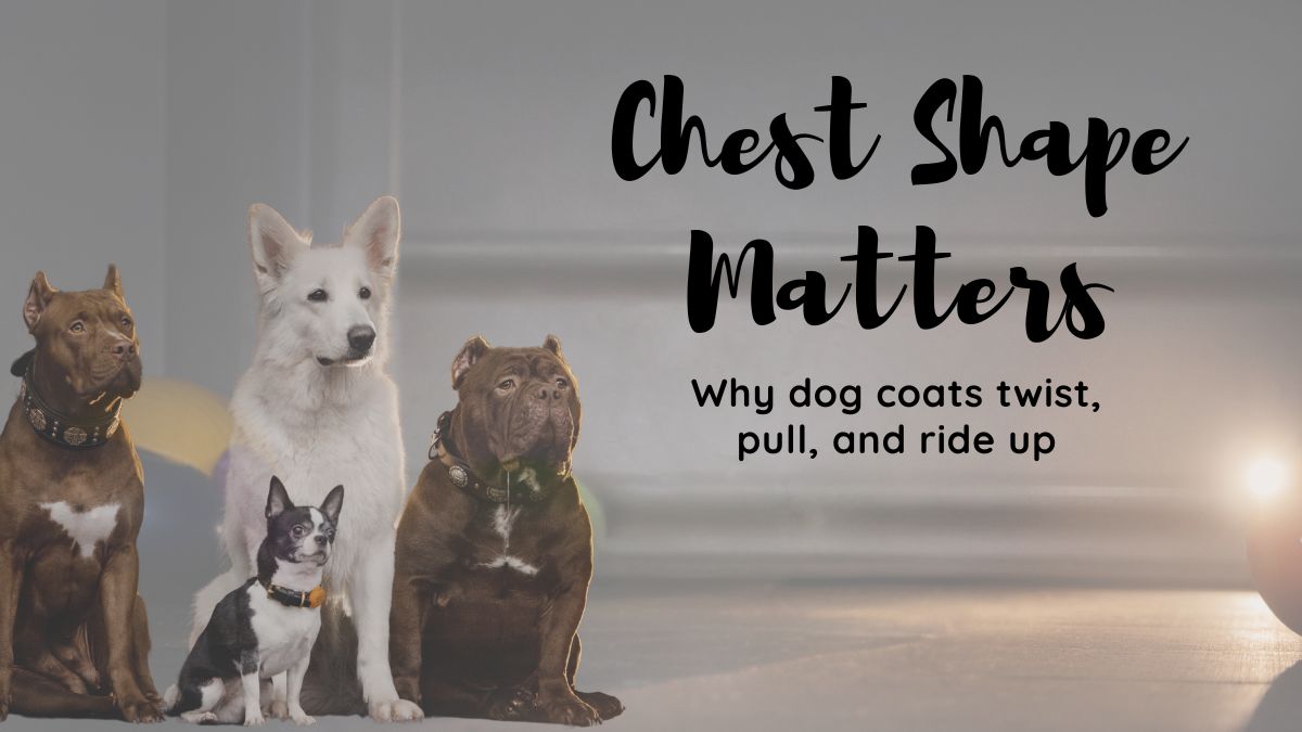 Why Your Dog Coat Doesn’t Fit (It’s Not Size — It’s Chest Shape)