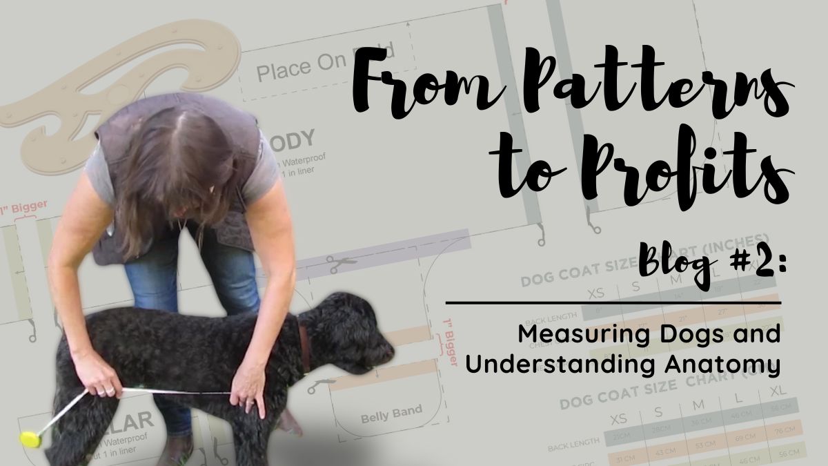 Dog Recognizing Pattern From Patterns to Profit: Measuring Dogs and Understanding Anatomy