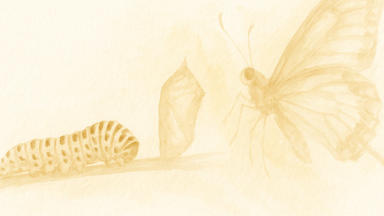 Faser i Oppvåkningen