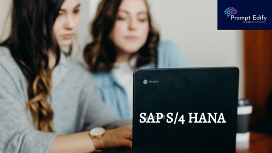 About SAP S4 Hana