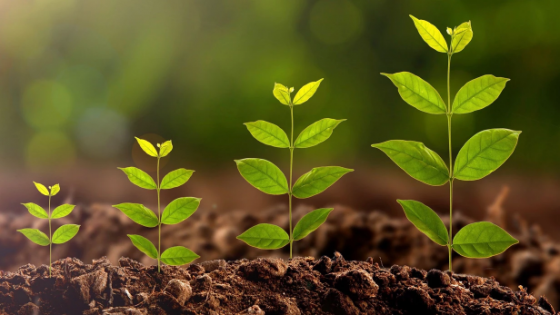 情感能力與「個性成長」