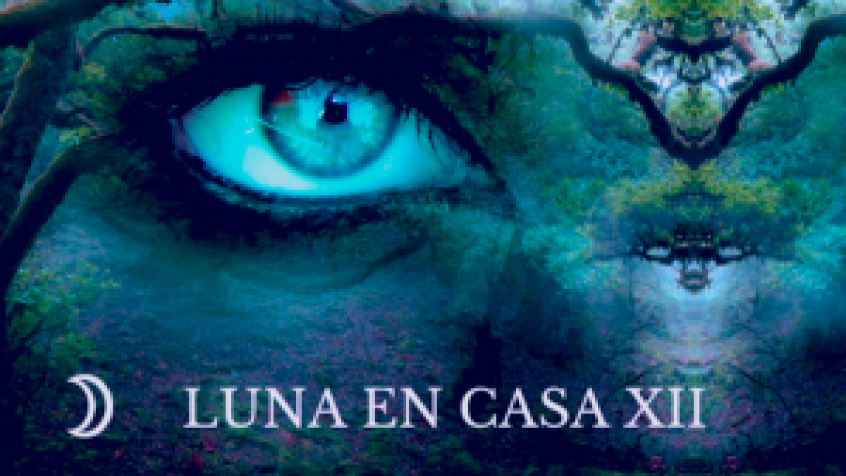 LUNA EN CASA XII – Las emociones de la humanidad