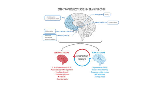 ADHD, hormoner och klimakteriet – när biologin drar undan mattan