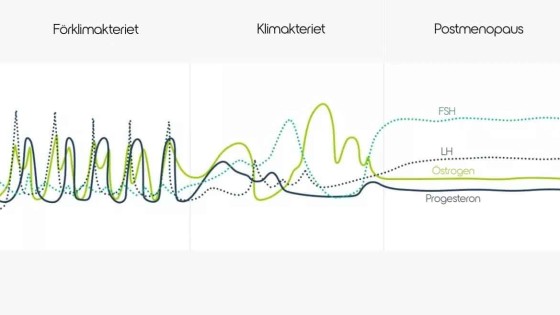 Klimakteriet – hormonernas långa resa genom förändring