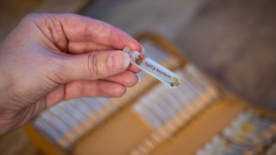 Welke reset past bij jou?