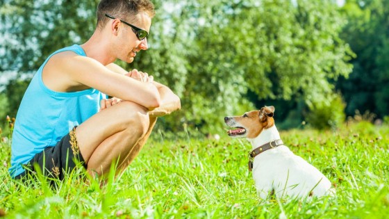 🐶 Why Does My Dog Not Listen to Me? 6 Real Reasons and What to Do About It