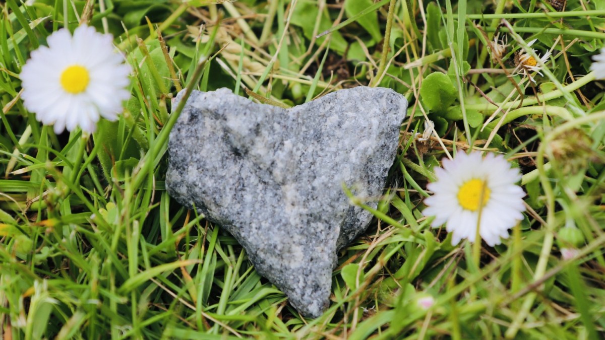 Sluta försöka tänka bort dina känslor – det är därför positivt tänkande inte alltid fungerar