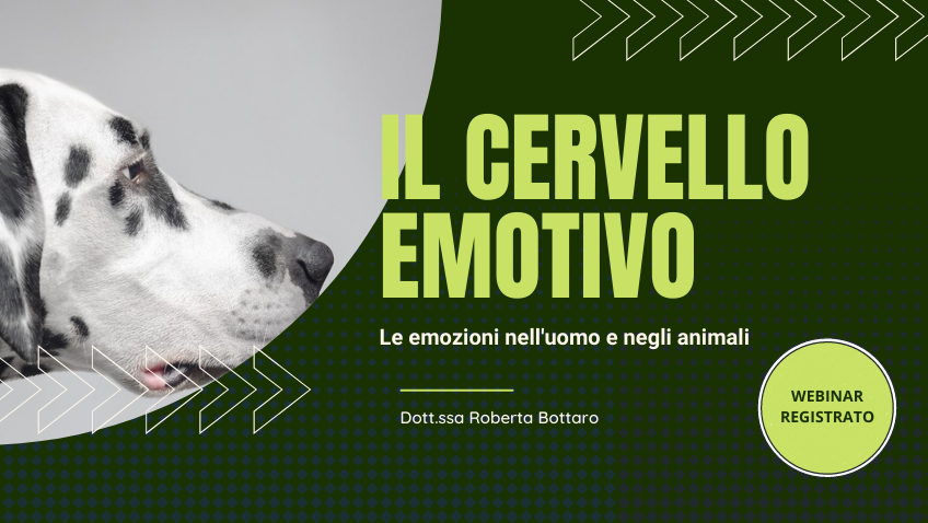 Il cervello emotivo: basi neuroscientifiche delle emozioni