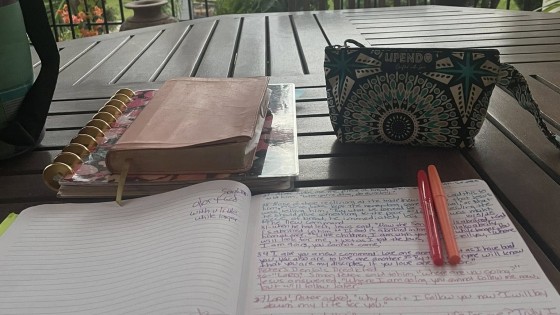 Day 5 - Moving Forward